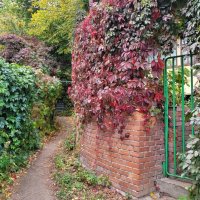 Увитый виноградом и спрятанный от глаз :: Татьяна Машошина