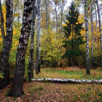 Осень в парке :: Андрей Лукьянов