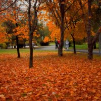 Вечерняя прогулка в нашем парке. :: Татьяна Помогалова