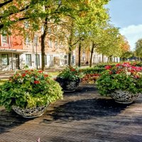 В конце сентября :: Veera V