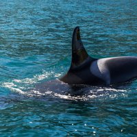 ... :: Жора Житников