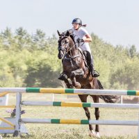 Конкур :: SanSan 