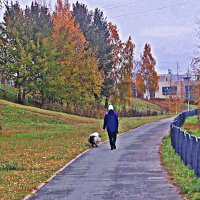 Октябрь...Утренняя  прогулка с псом! :: Владимир 