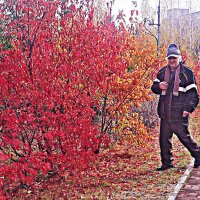 Октябрь...У огненного куста! :: Владимир 
