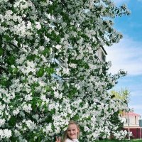 Был месяц май :: Георгиевич 