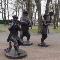 Медвежья академия :: PRP Медвежья академия :: PRP