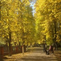 Осенними аллеями :: Елена Семигина