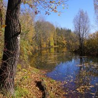 Осень :: Наталия Григорьева