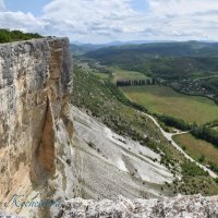 Природа Крыма :: Amazing Cosmea