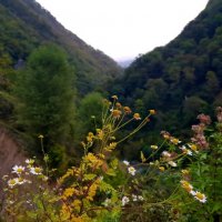 НА ГРАНИЦЕ С АБХАЗИЕЙ :: Tata Wolf