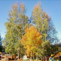 Осенний день :: Сергей Кочнев