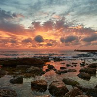 на рассвете. :: Эдуард Тищенко