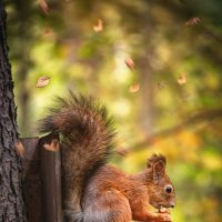 * :: Svetlana Galvez * :: Svetlana Galvez