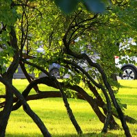 переплетения судеб :: Олег Лукьянов переплетения судеб :: Олег Лукьянов