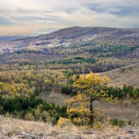 Хребет Нурали :: Галина Ильясова