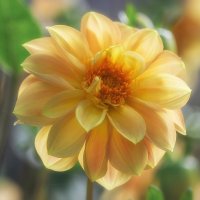 *** :: Виктор Иванович Чернюк *** :: Виктор Иванович Чернюк