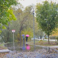 Прогулка под дождём! :: Тамара Вебер