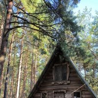 На орнитологической станции. :: Ольга 