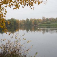 *** :: Владимир Безбородов