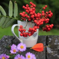 С веточкой рябины .. :: Татьян@ Ивановна