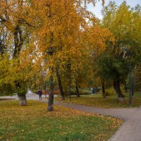 Октябрьский день :: Александр Синдерёв