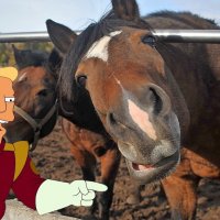 Трансформация 1(2ч.) - «что стало» (коллаж) :: Игорь Тельцов