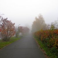 *** :: Лариса С.