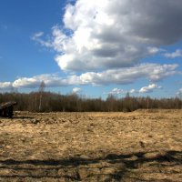 Колотушино :: Артем 