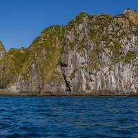 ... :: Жора Житников