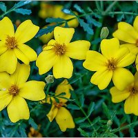 Про сентябрь... :: Aquarius - Сергей Про сентябрь... :: Aquarius - Сергей