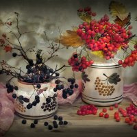 Осенние ягоды в свете блуждающих теней. :: Bosanat 