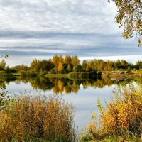 Золотая осень Смоленщины. :: Милешкин Владимир Алексеевич 