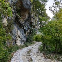 НА ГРАНИЦЕ С АБХАЗИЕЙ :: Tata Wolf