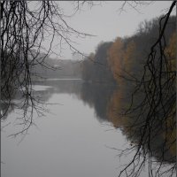 Октябрь :: Наталья Rosenwasser