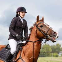 Конкур :: SanSan 