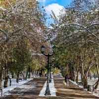 Осенний парк :: Dmitry i Mary S