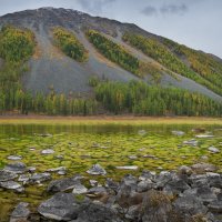 * :: Александр Иванов