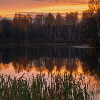 Октябрь :: Александр Силинский