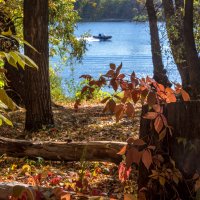 Осенний день :: Наталья Димова Осенний день :: Наталья Димова