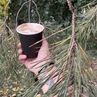 Дыхание свежести :: Анна Камс