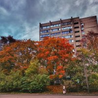 Краски осени :: Алексей Архипов