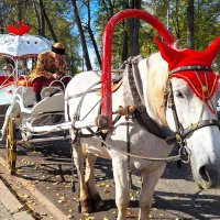 Карета подана :: Наталья 