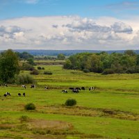 В сентябре :: Игорь Сикорский