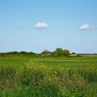 *** :: Яна Горбунова