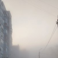 Октябрьский туман :: светлана льдокова