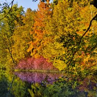 ... :: ВЛАДИМИР 