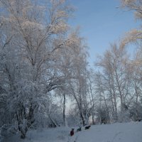 Зимние прогулки :: Anna Ivanova