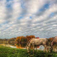 *** :: Сергей Григорьев