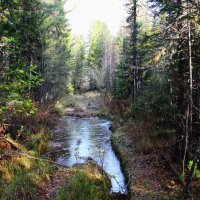 Ледок :: Сергей Никифоров