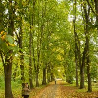 Улочки города :: Батик Табуев